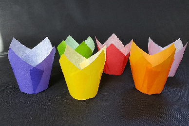 Tulip cup 150/50 six couleurs moyen format 